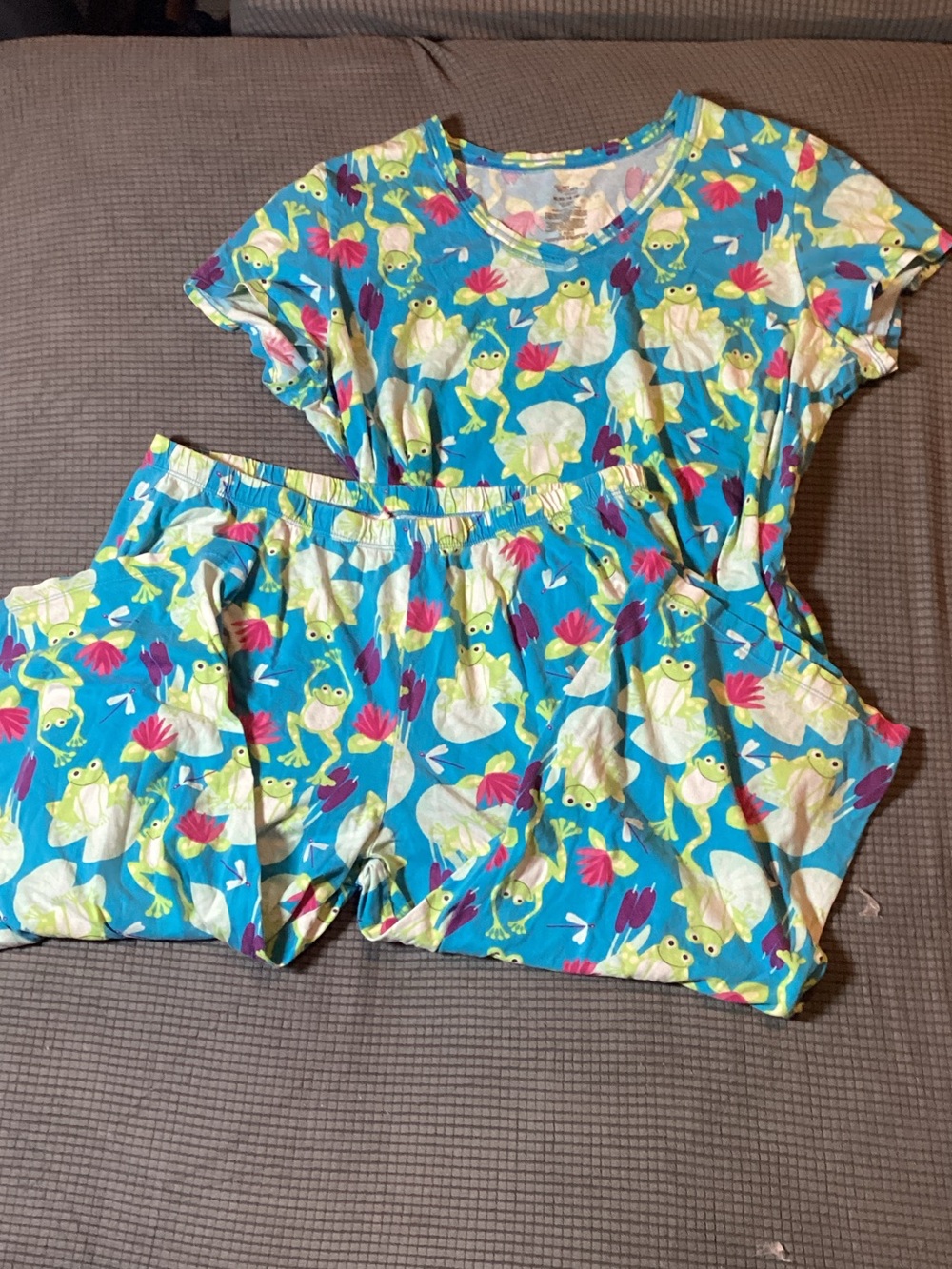 Secret Treasures Blue Frog & Lily Pad Pajama Set